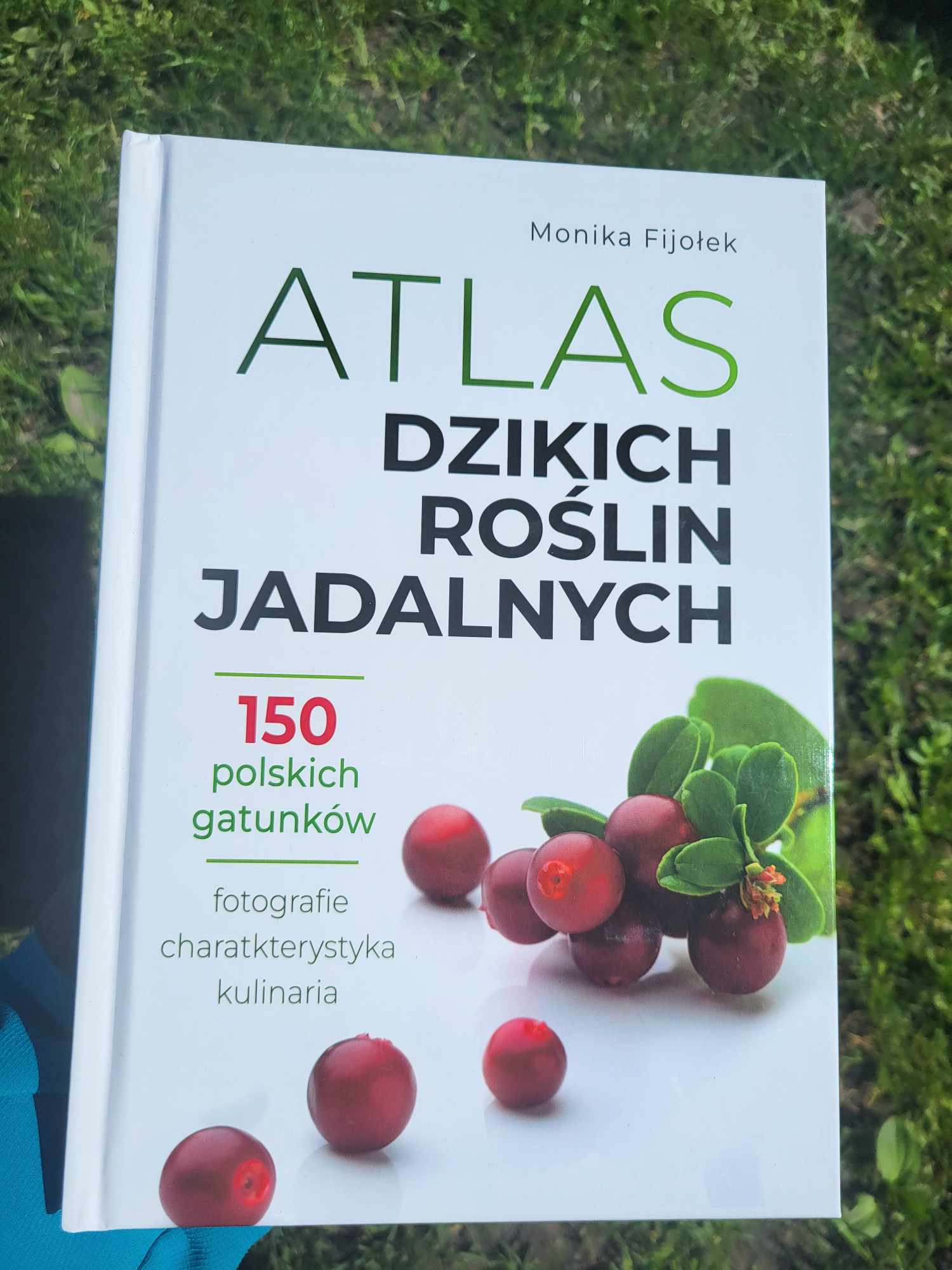 Atlas dzikich roślin jadalnych, 150 polskich gatunków, Fijołek Monika