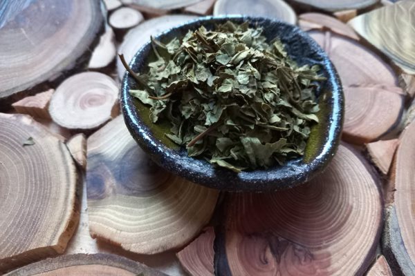 herbata utlenaiana z liści wiśni
