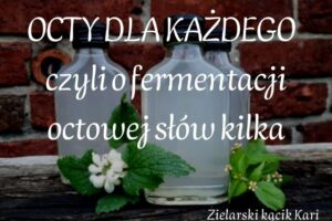 Zeszyt ziołowy pdf "OCTY DLA KAŻDEGO - czyli o fermentacji octowej słów kilka"