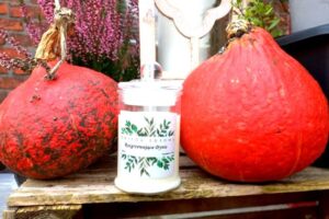 świeca rozgrzewająca dynia 11 (2)