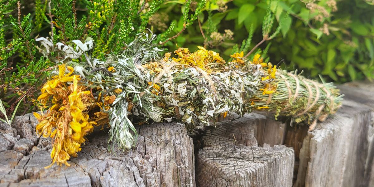 ziołowe metody na komary