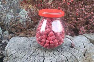 OWOC CZERWONEJ PORZECZKI LIOFILIZOWANY