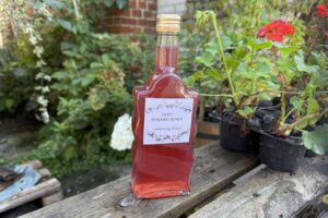 OCET MIRABELKOWY z czerwonych mirabelek